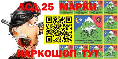гашик Гай
