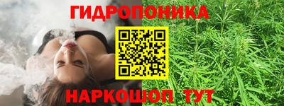гашик Гай