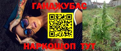 гашик Гай