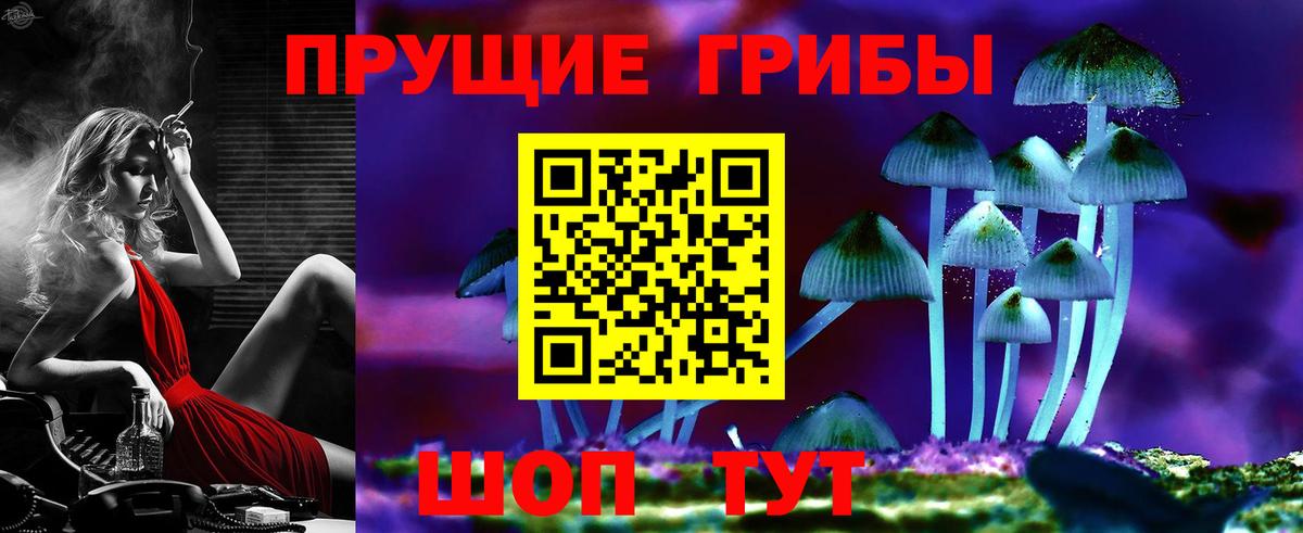 Галлюциногенные грибы Psilocybe Мариинск